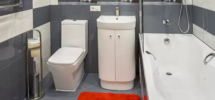 Hansgrohe Shaving Mirror Fort Lee